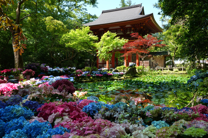 お写ん歩: SIGMA 28-105mm F2.8 DG DN | Artアーカイブ